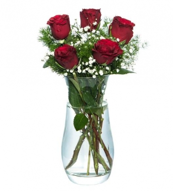 Vazoda Canlı 5 Gül