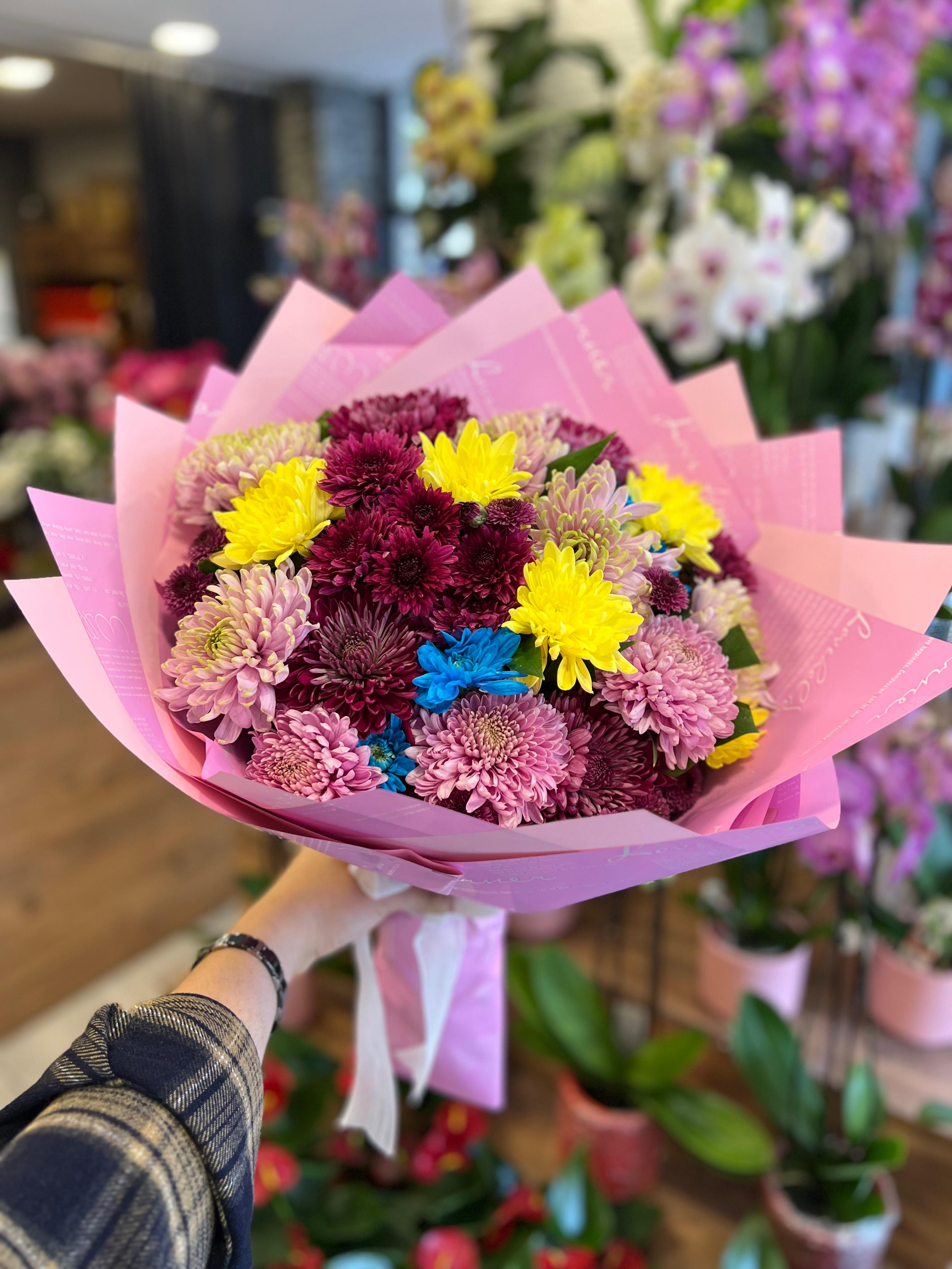 Kucak Dolusu Renkli Kasımpatı