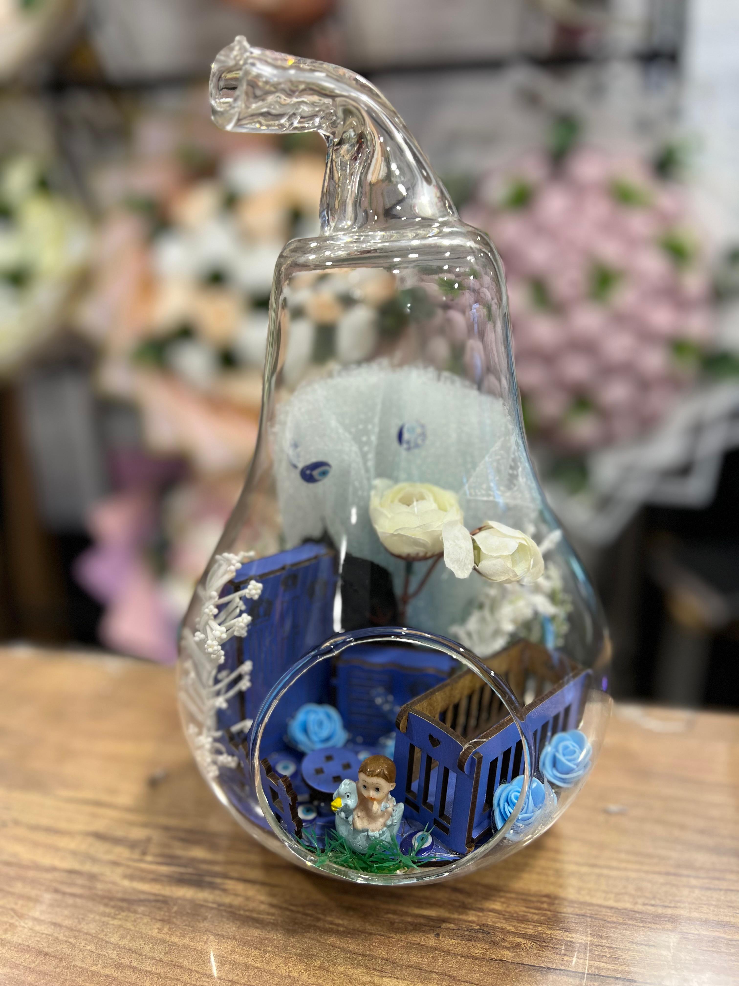 Erkek Bebek Teraryum