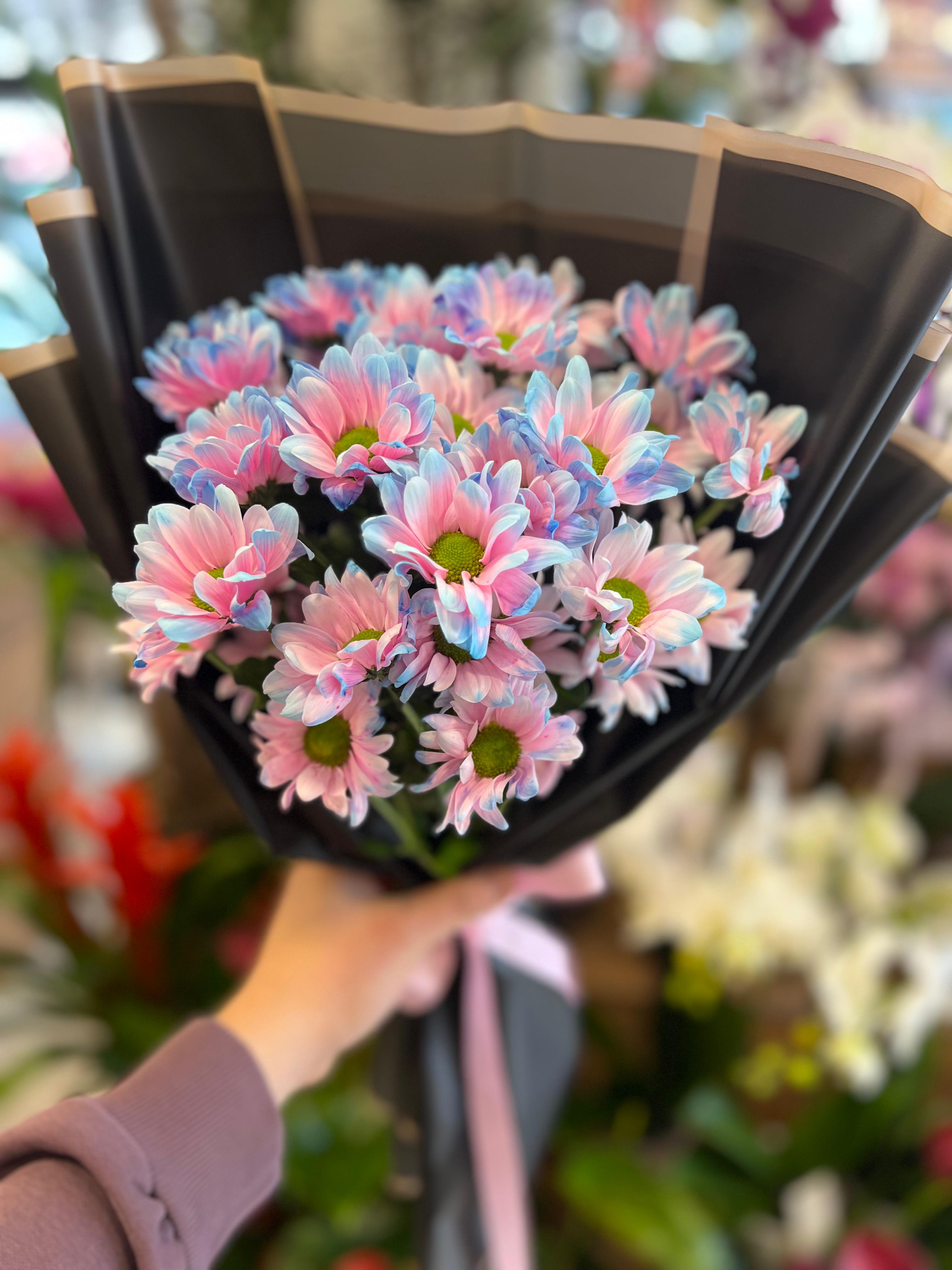 Canlı Papatya Buketi