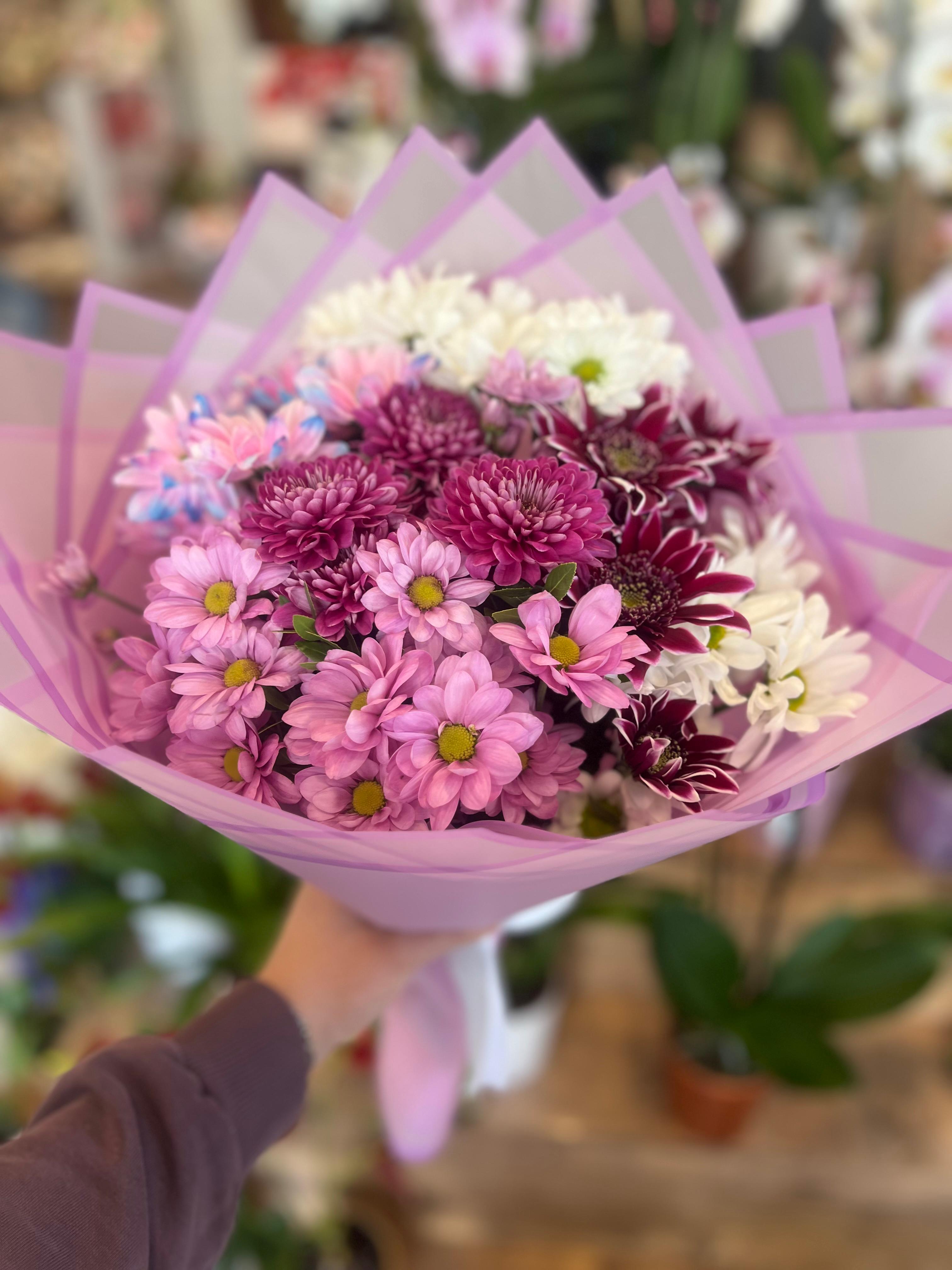 Canlı Papatya Buketi