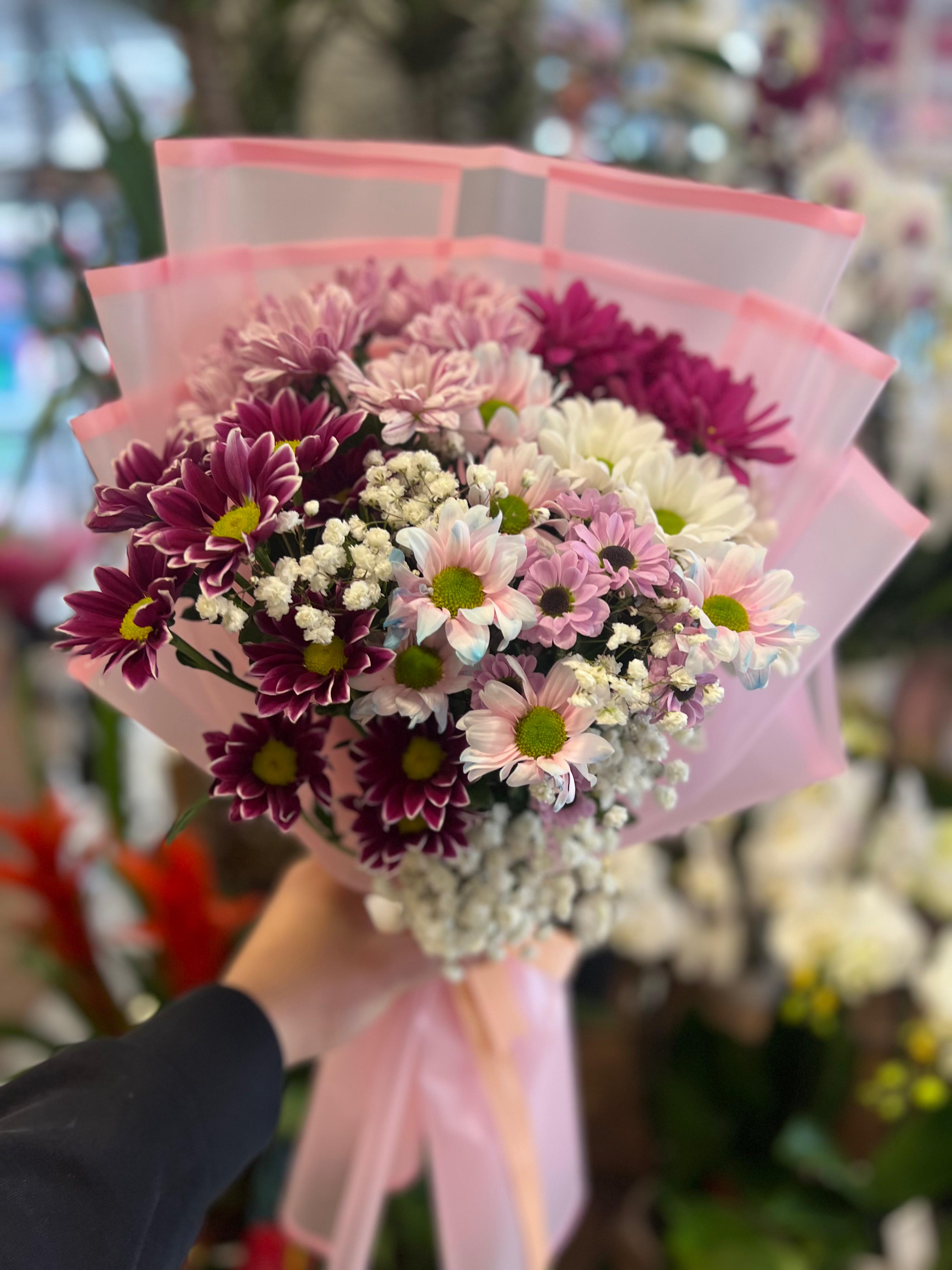 Canlı Papatya Buketi