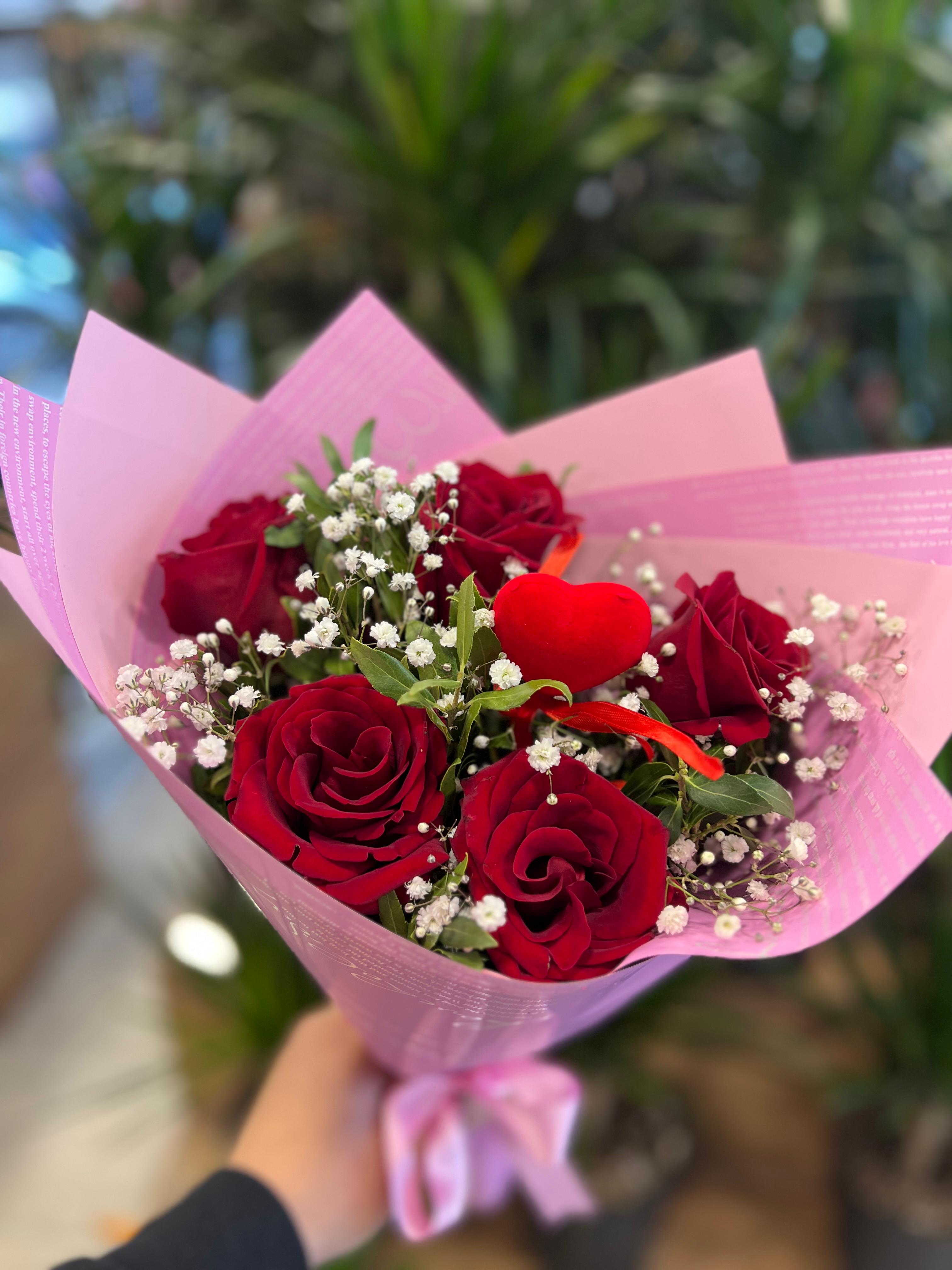 Canlı 5 kırmızı gül