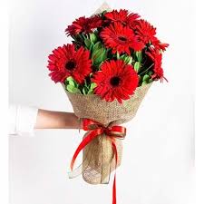 Kırmızı Gerbera Buketi