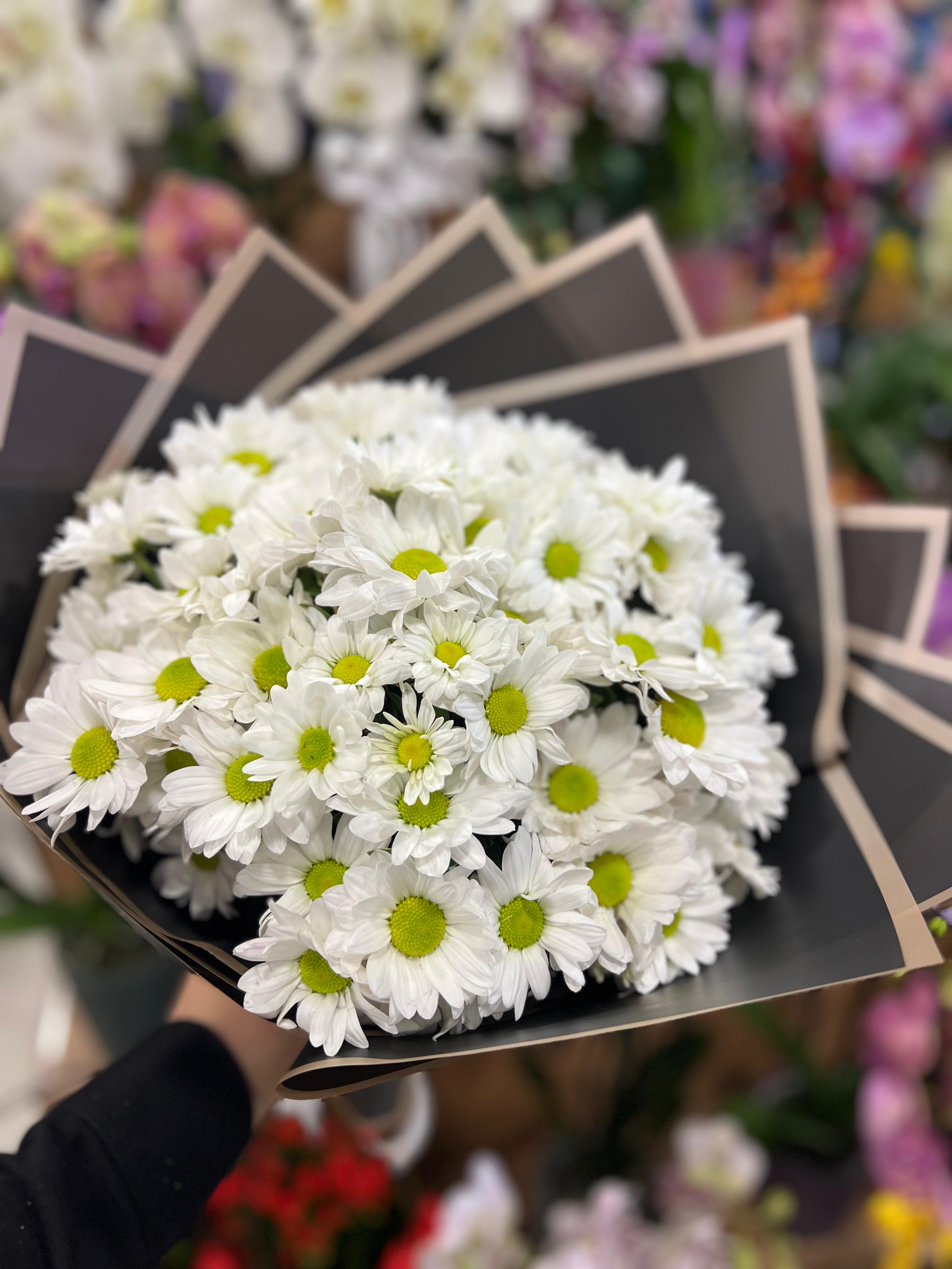 Beyaz Papatya Buketi XL