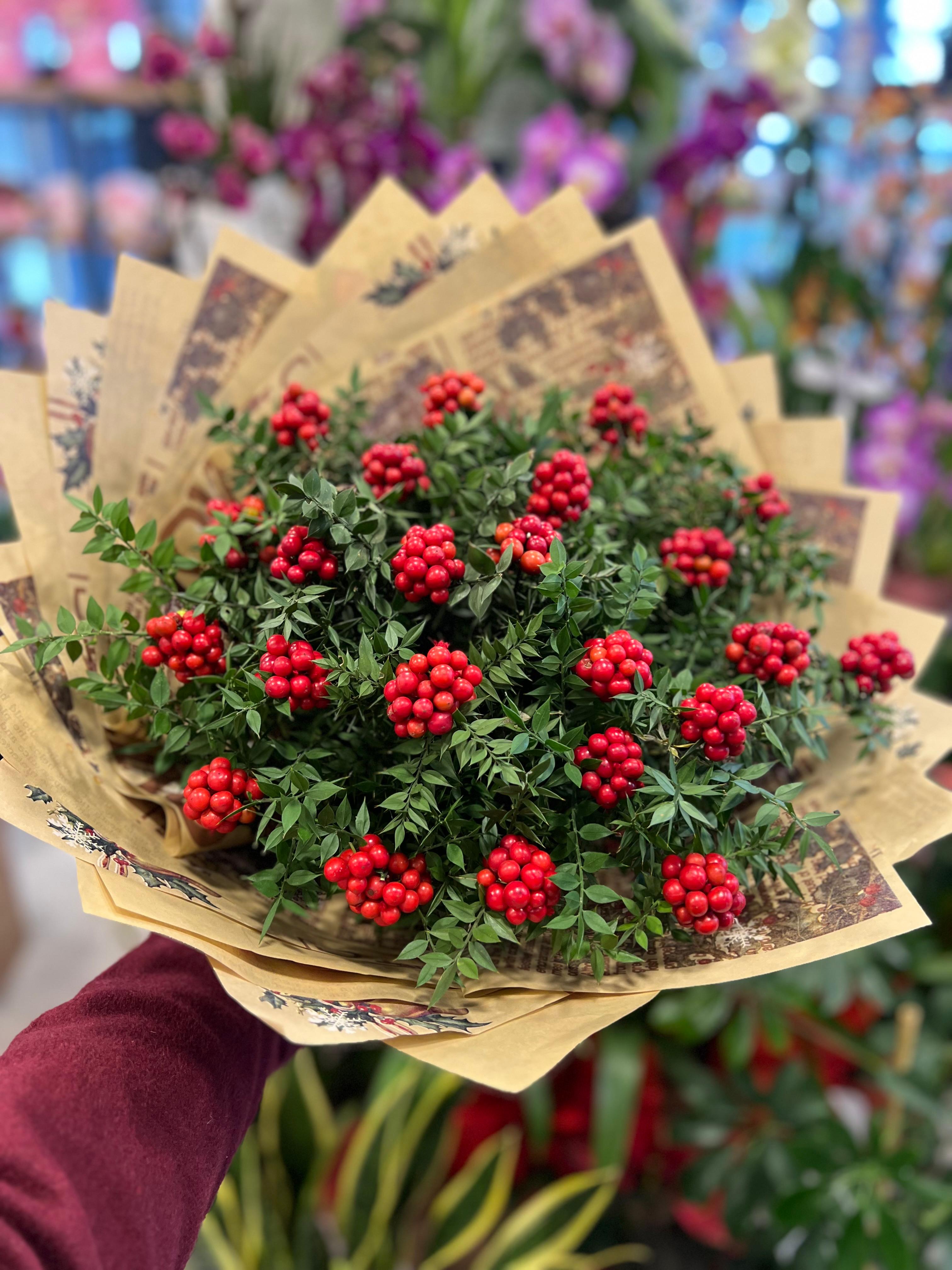 Büyük Kokina Buketi