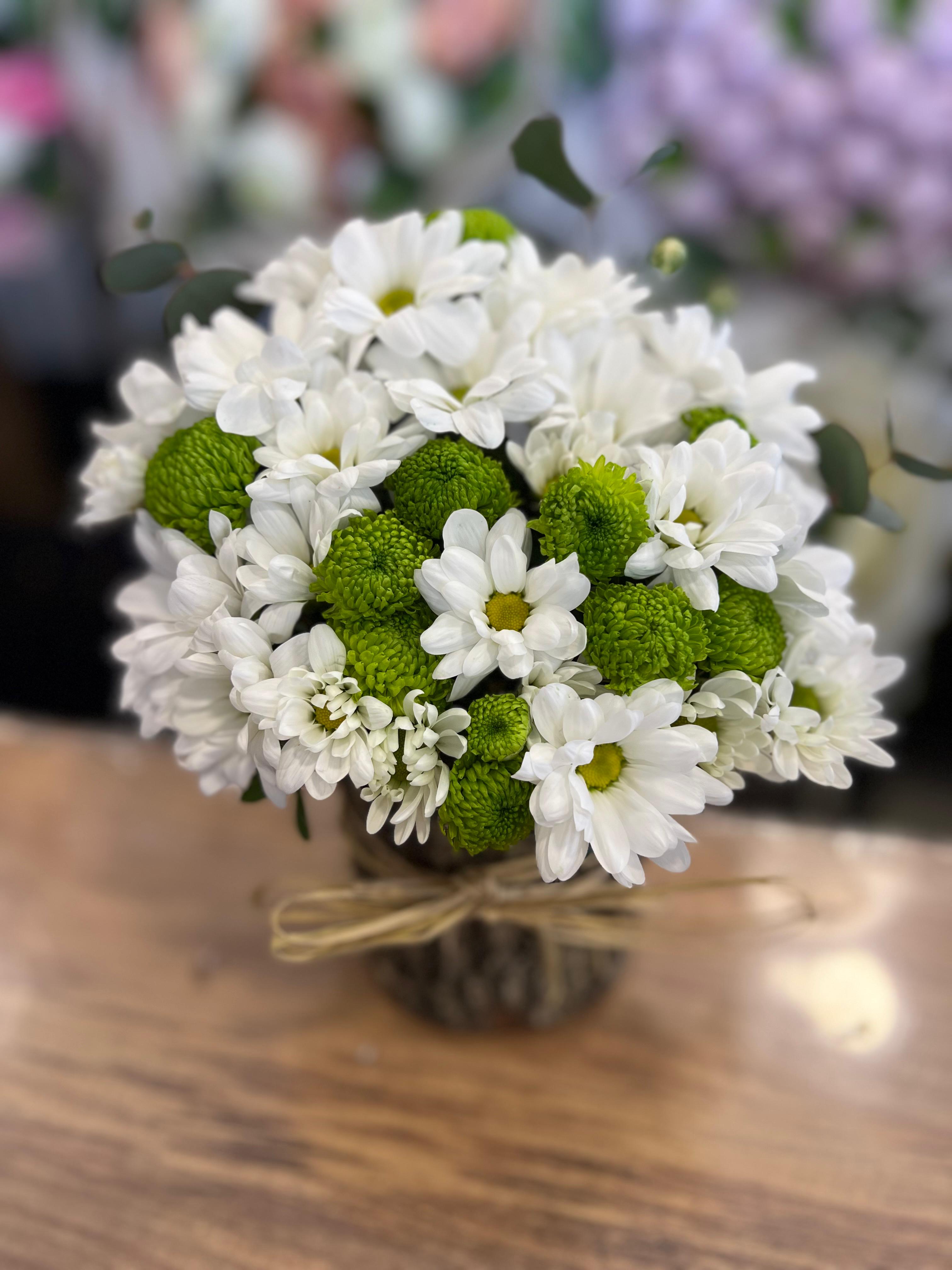 Kütükte Canlı Papatya