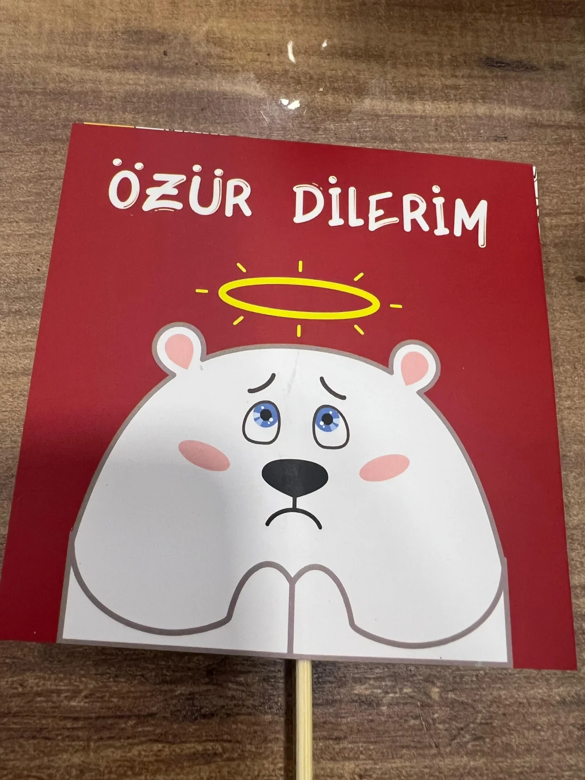 Özür Dilerim Pankart