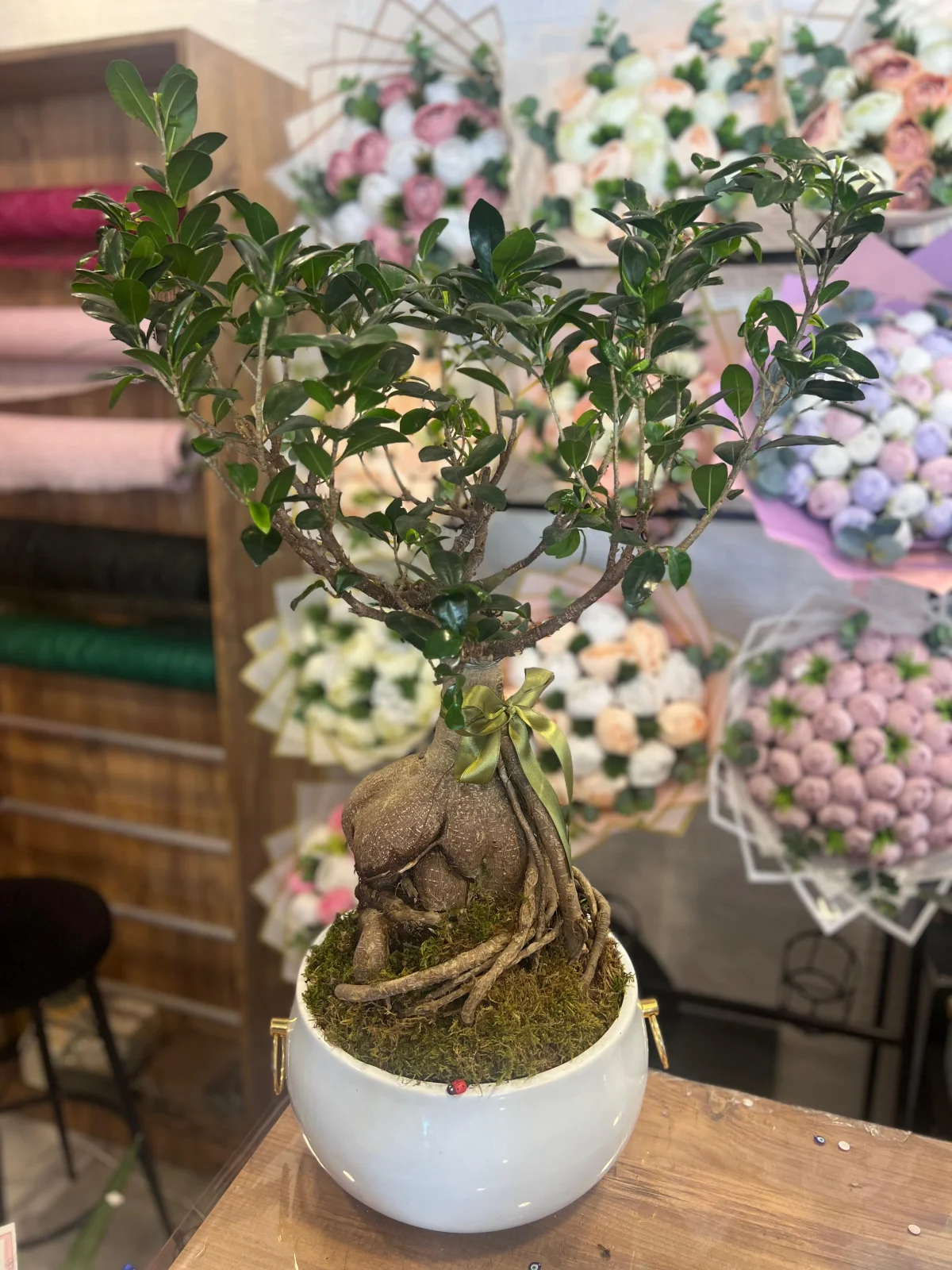 1 metre bonsai bitkisi